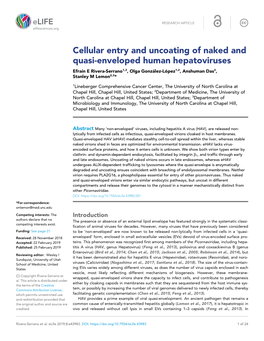 Cellular Entry and Uncoating of Naked and Quasi-Enveloped Human