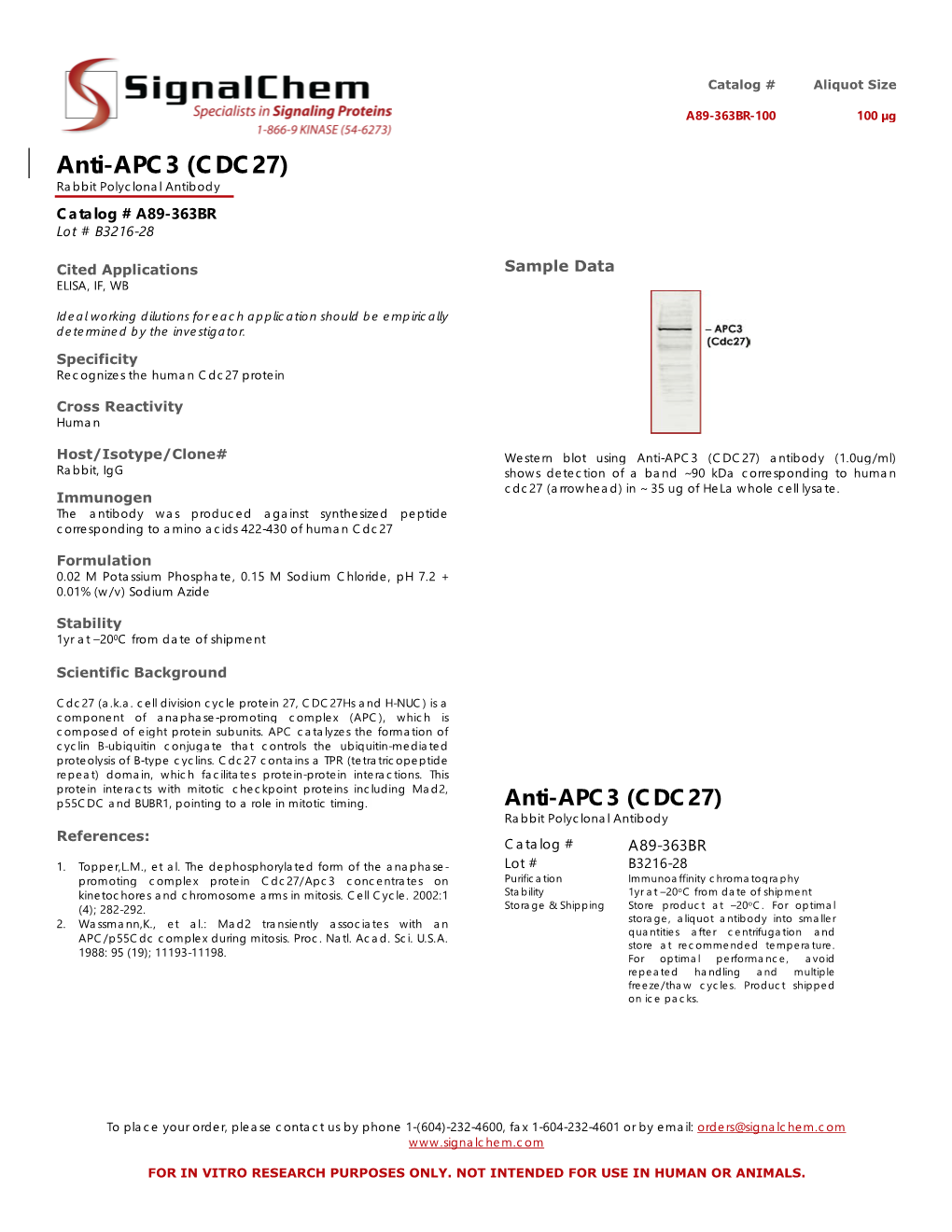 Anti-APC3 (CDC27) Rabbit Polyclonal Antibody