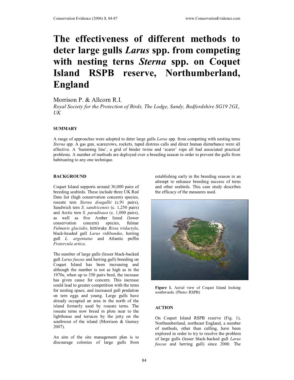 The Effectiveness of Different Methods to Deter Large Gulls Larus Spp. from Competing with Nesting Terns Sterna Spp. on Coquet I