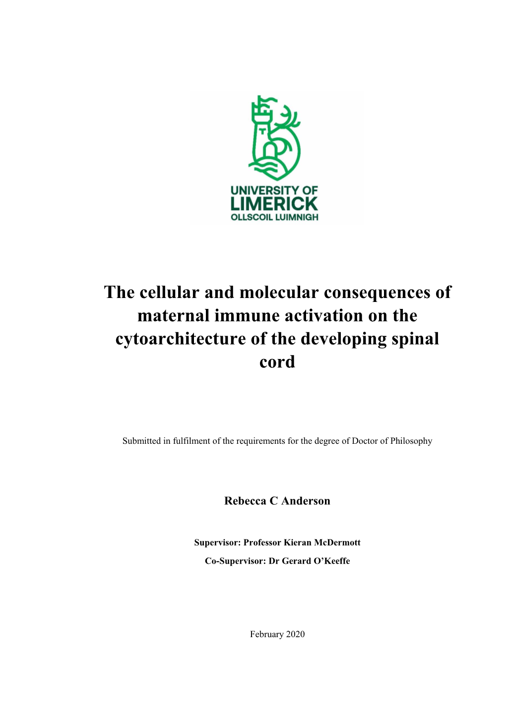 The Cellular and Molecular Consequences of Maternal Immune Activation on the Cytoarchitecture of the Developing Spinal Cord