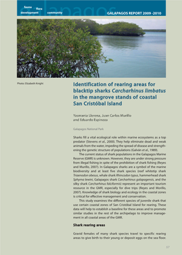 Identification of Rearing Areas for Blacktip Sharks Carcharhinus Limbatus in the Mangrove Stands of Coastal San Cristóbal Island