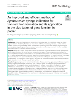 An Improved and Efficient Method of Agrobacterium Syringe Infiltration