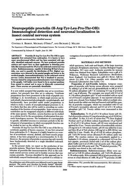 Neuropeptide Proctolin (H-Arg-Tyr-Leu-Pro-Thr-OH)