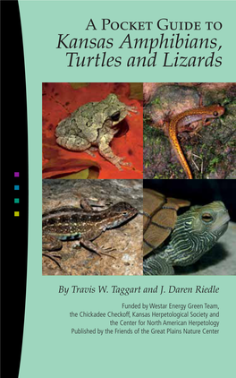 A Pocket Guide to Kansas Amphibians, Turtles and Lizards