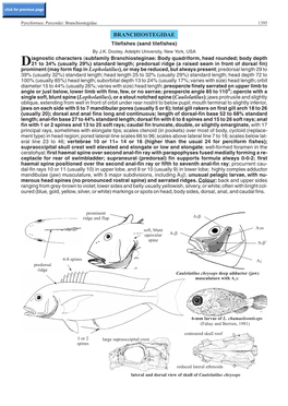 Branchiostegidae 1395