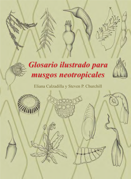 Glosario Ilustrado Para Musgos Neotropicales