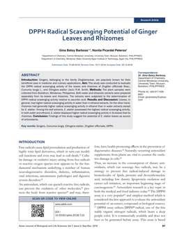 DPPH Radical Scavenging Potential of Ginger Leaves and Rhizomes
