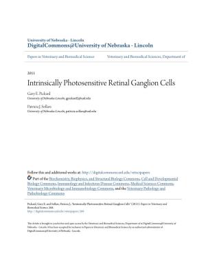 Intrinsically Photosensitive Retinal Ganglion Cells Gary E