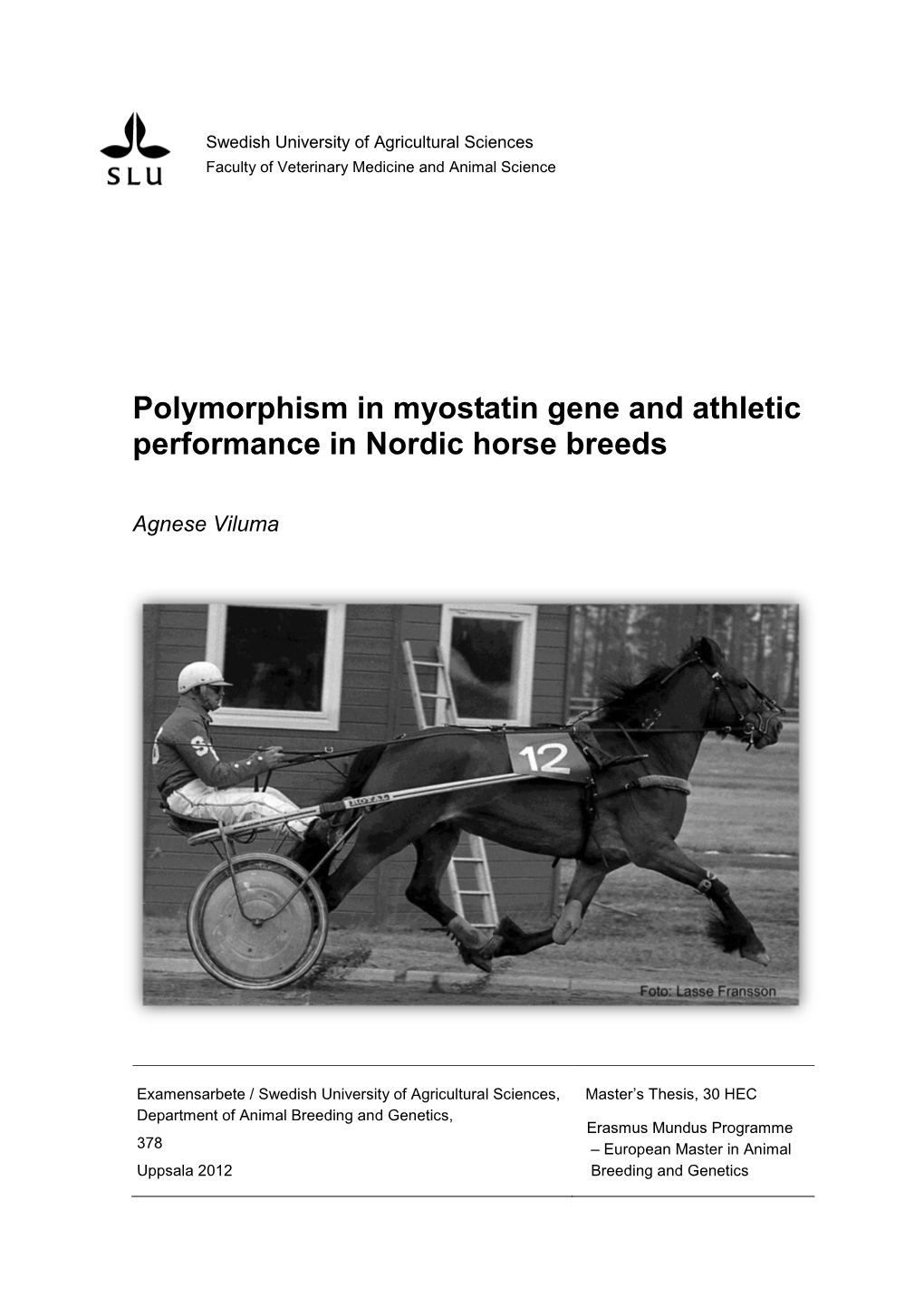 Polymorphism in Myostatin Gene and Athletic Performance in Nordic Horse Breeds