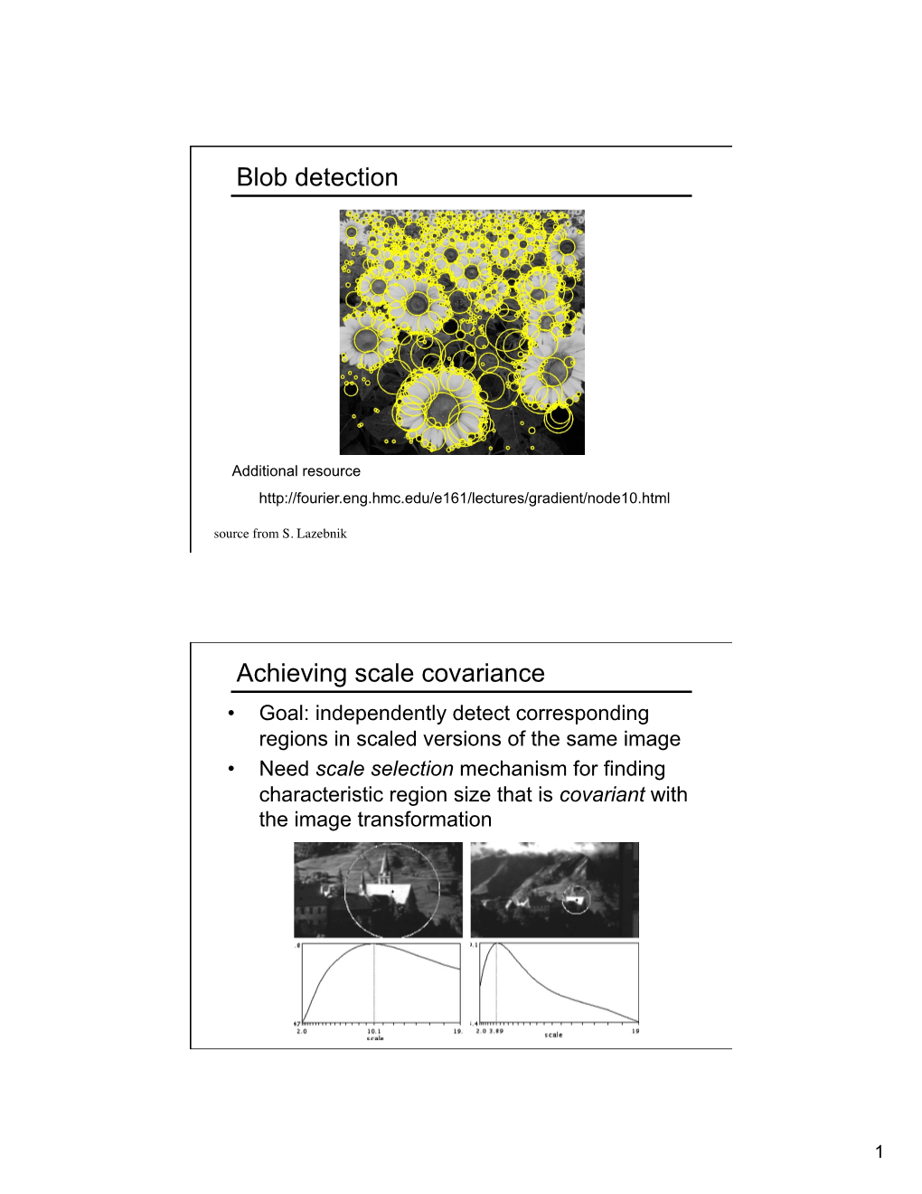 Blob Detection Achieving Scale Covariance