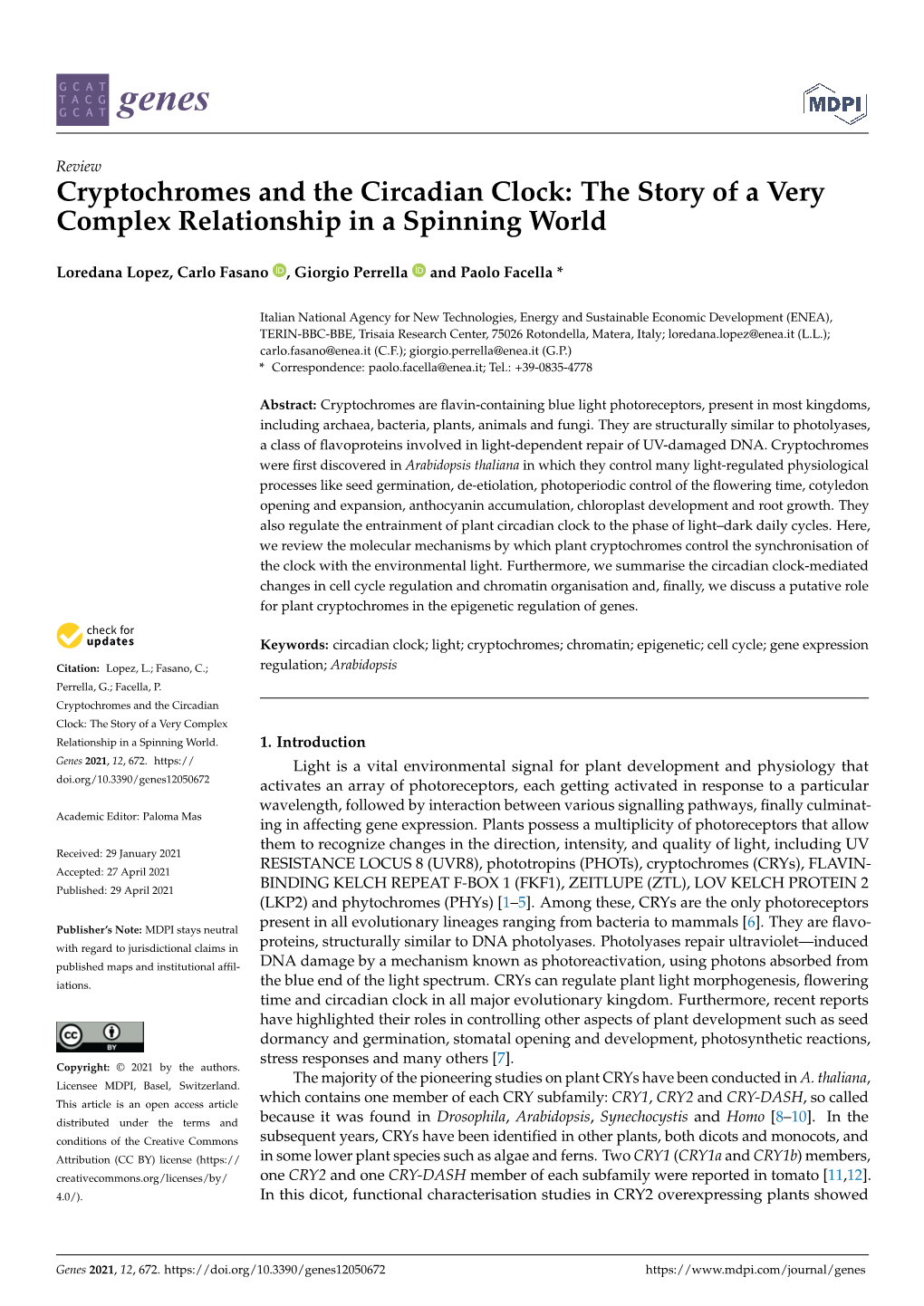 Cryptochromes and the Circadian Clock: the Story of a Very Complex Relationship in a Spinning World