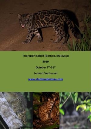 Borneo, Malaysia) 2019 October 7Th-31St Lennart Verheuvel