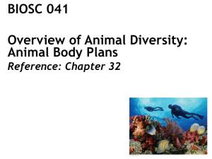 BIOSC 041 Overview of Animal Diversity: Animal Body Plans