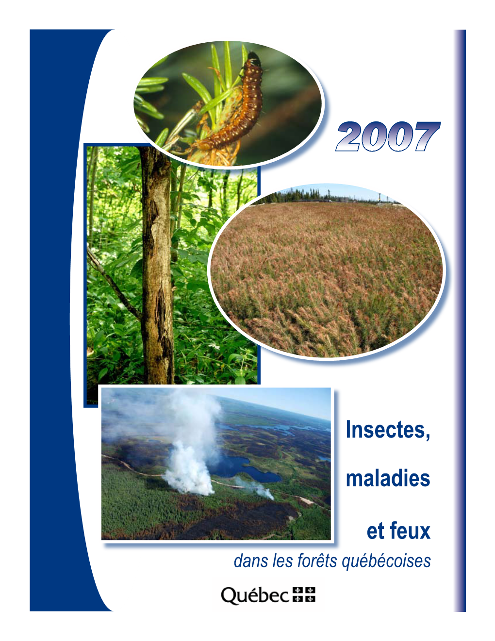 Insectes, Maladies Et Feux Dans Les Forêts Québécoises En 2007 II LE MOT DU DIRECTEUR
