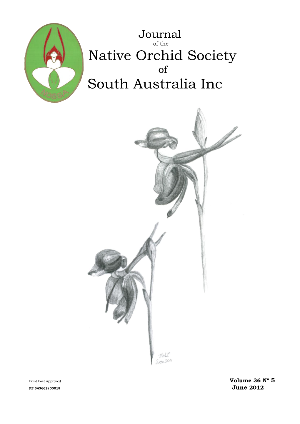 Native Orchid Society South Australia