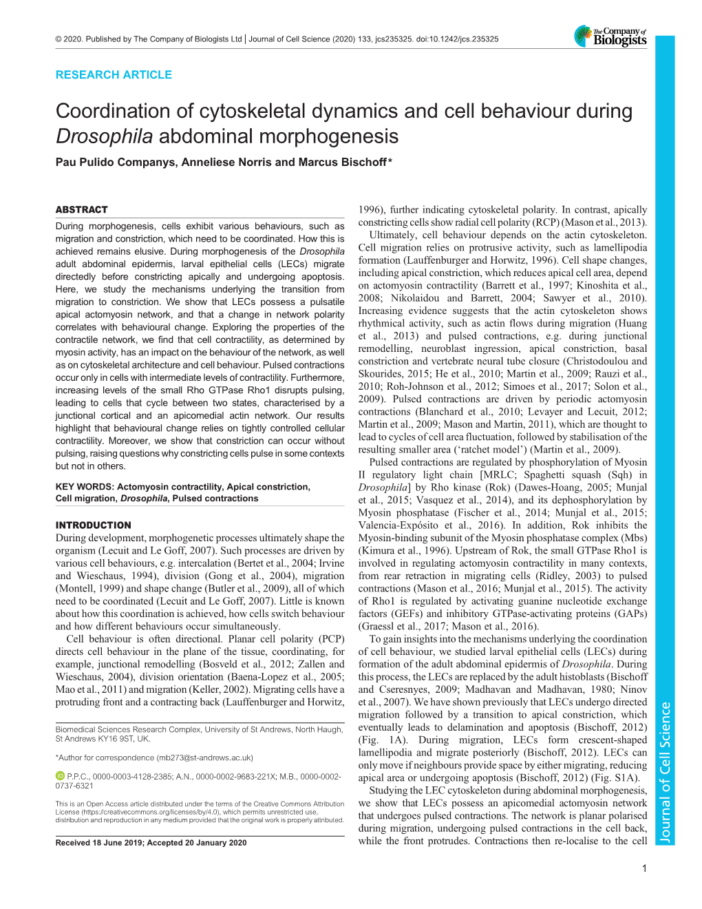 Coordination of Cytoskeletal Dynamics and Cell Behaviour During <Italic