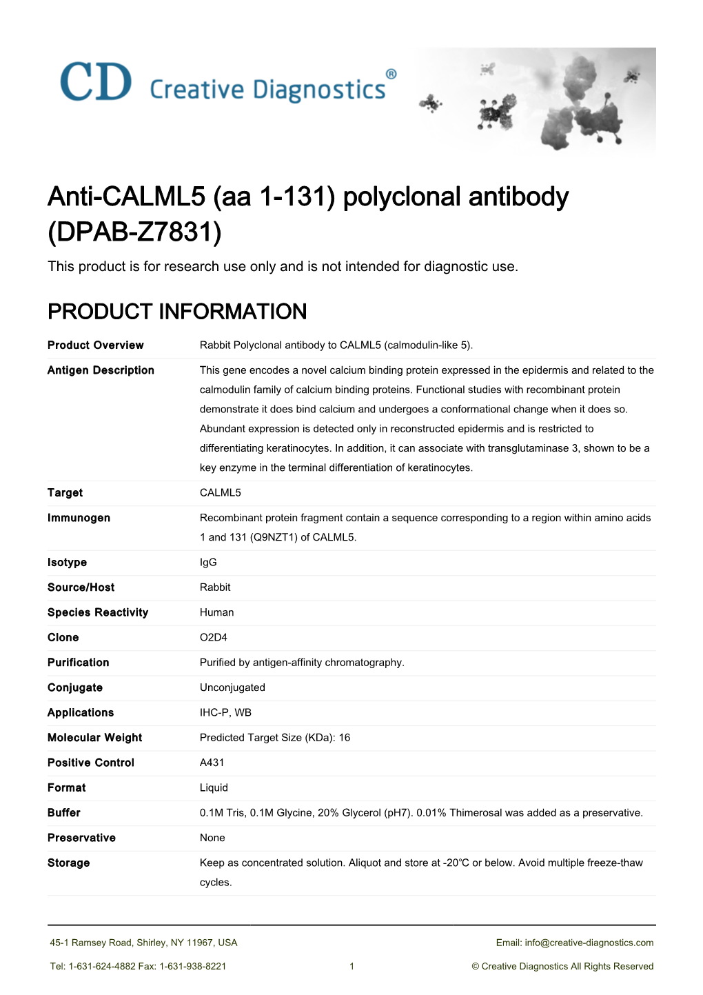 Anti-CALML5 (Aa 1-131) Polyclonal Antibody (DPAB-Z7831) This Product Is for Research Use Only and Is Not Intended for Diagnostic Use