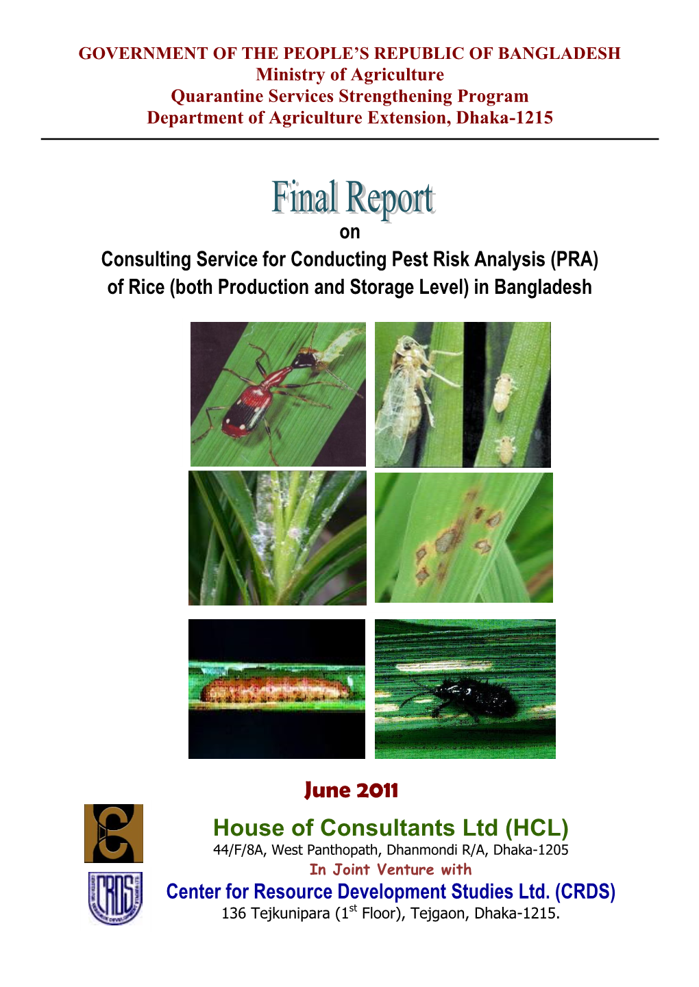 Of Rice (Both Production and Storage Level) in Bangladesh