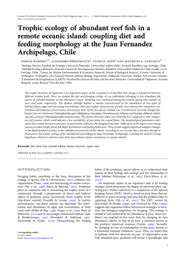 Trophic Ecology of Abundant Reef Fish in a Remote Oceanic Island: Coupling Diet and Feeding Morphology at the Juan Fernandez