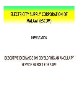 Electricity Supply Corporation of Malawi (Escom)
