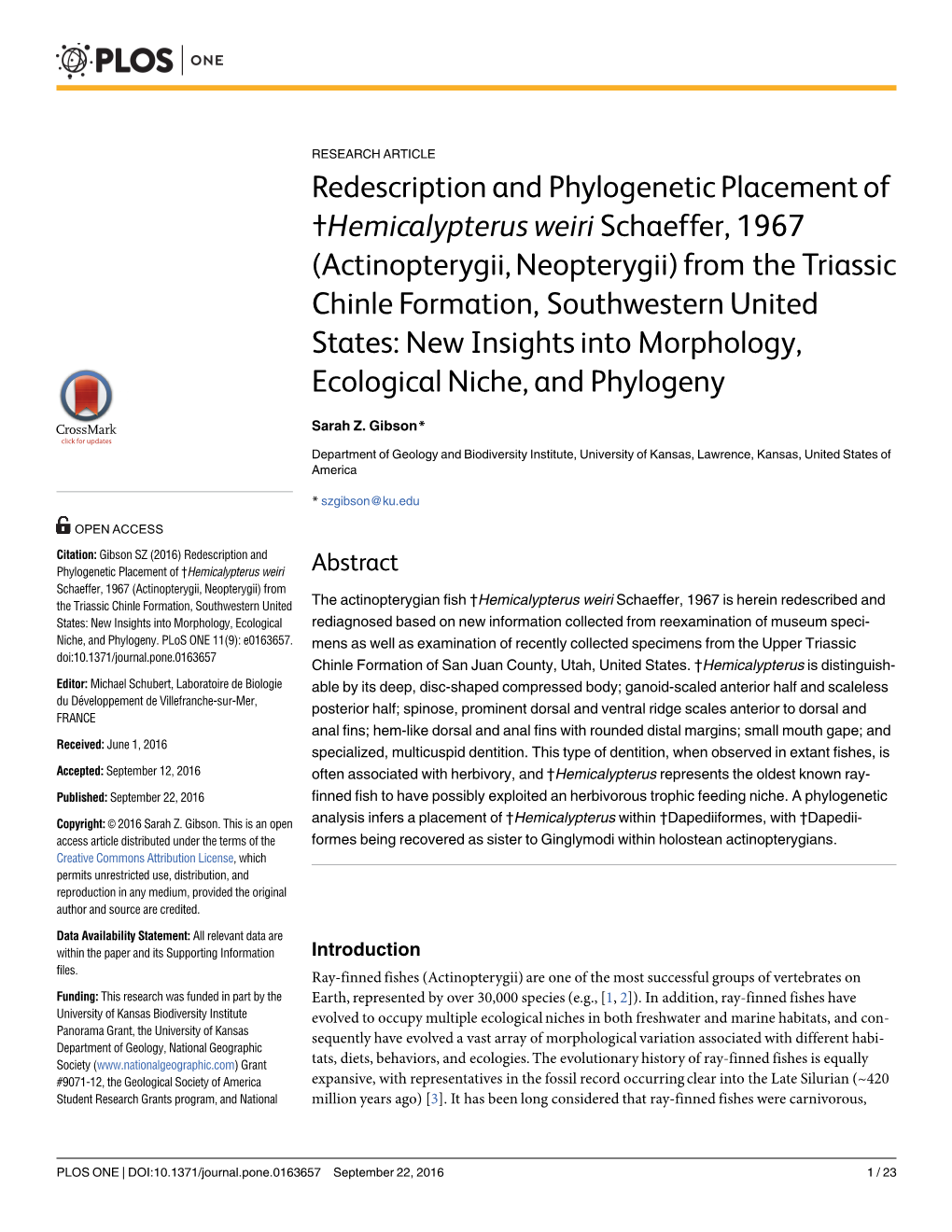 Redescription and Phylogenetic Placement Of