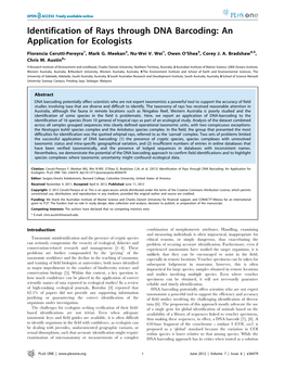 Identification of Rays Through DNA Barcoding: an Application for Ecologists