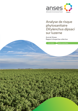 Analyse De Risque Phytosanitaire Ditylenchus Dipsaci Sur Luzerne Avis De L’Anses Rapport D’Expertise Collective