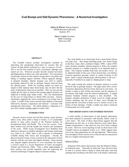 Coal Bumps and Odd Dynamic Phenomena - a Numerical Investigation