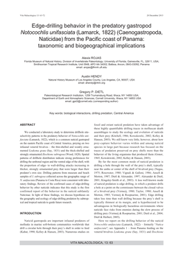 Edge-Drilling Behavior in the Predatory Gastropod Notocochlis Unifasciata