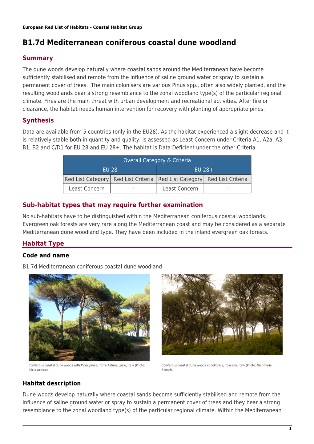 B1.7D Mediterranean Coniferous Coastal Dune Woodland