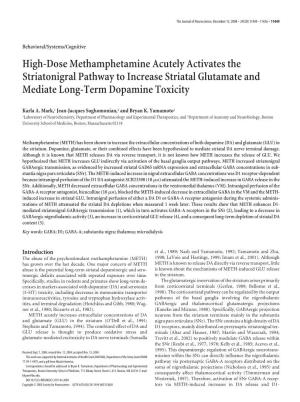 High-Dose Methamphetamine Acutely Activates the Striatonigral Pathway to Increase Striatal Glutamate and Mediate Long-Term Dopamine Toxicity