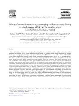 Effects of Anaerobic Exercise Accompanying Catch-And-Release Fishing on Blood-Oxygen Affinity of the Sandbar Shark (Carcharhinus