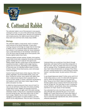 Cottontail Rabbit Wildlife Note