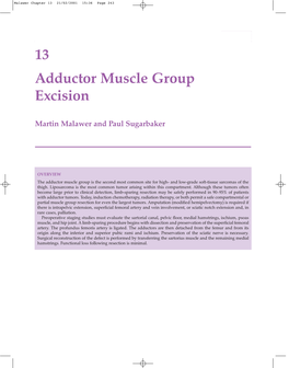 13 Adductor Muscle Group Excision