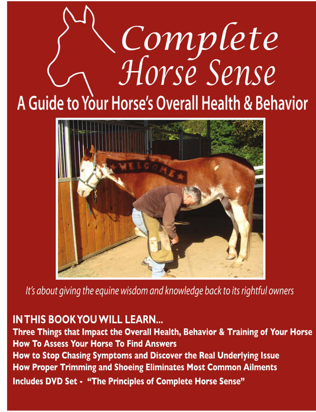 A Guide to Your Horse's Overall Health & Behavior