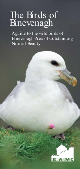 The Birds of Binevenagh a Guide to the Wild Birds of Binevenagh Area of Outstanding Natural Beauty