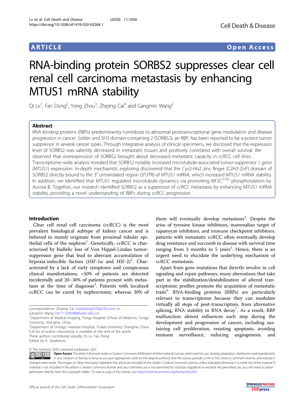RNA-Binding Protein SORBS2 Suppresses Clear Cell Renal Cell