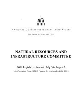 Natural Resources and Infrastructure Committee