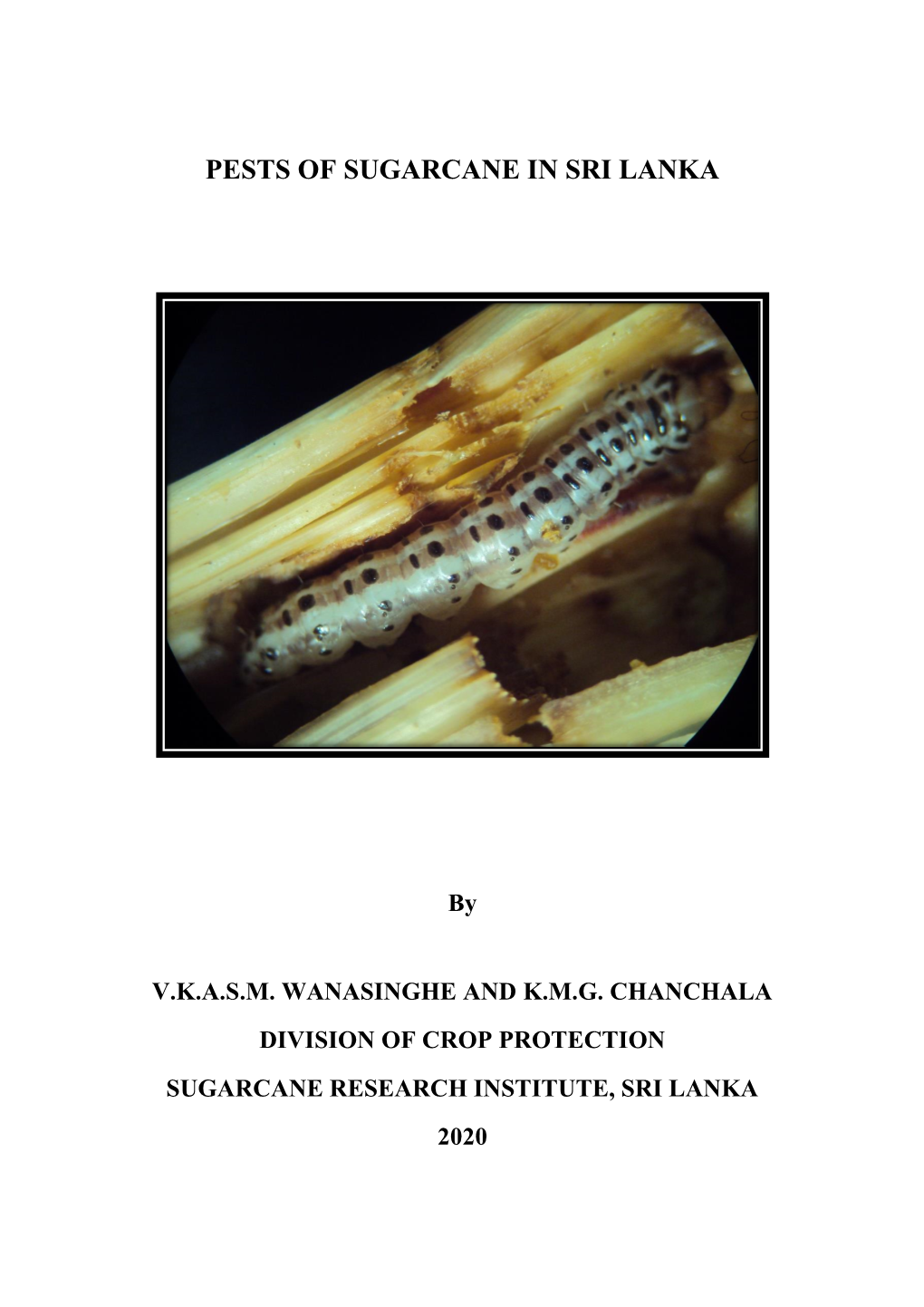 Pests of Sugarcane in Sri Lanka