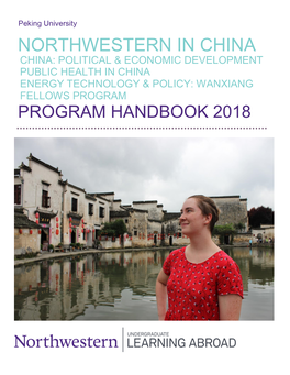 Northwestern in China China: Political & Economic Development Public Health in China Energy Technology & Policy: Wanxiang Fellows Program