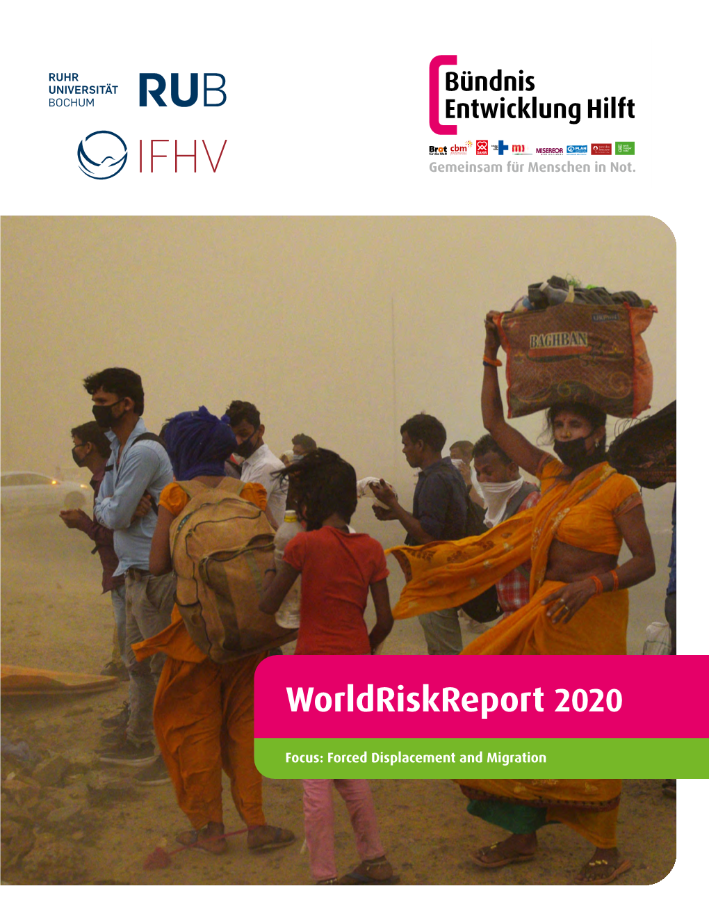 Worldriskreport 2020