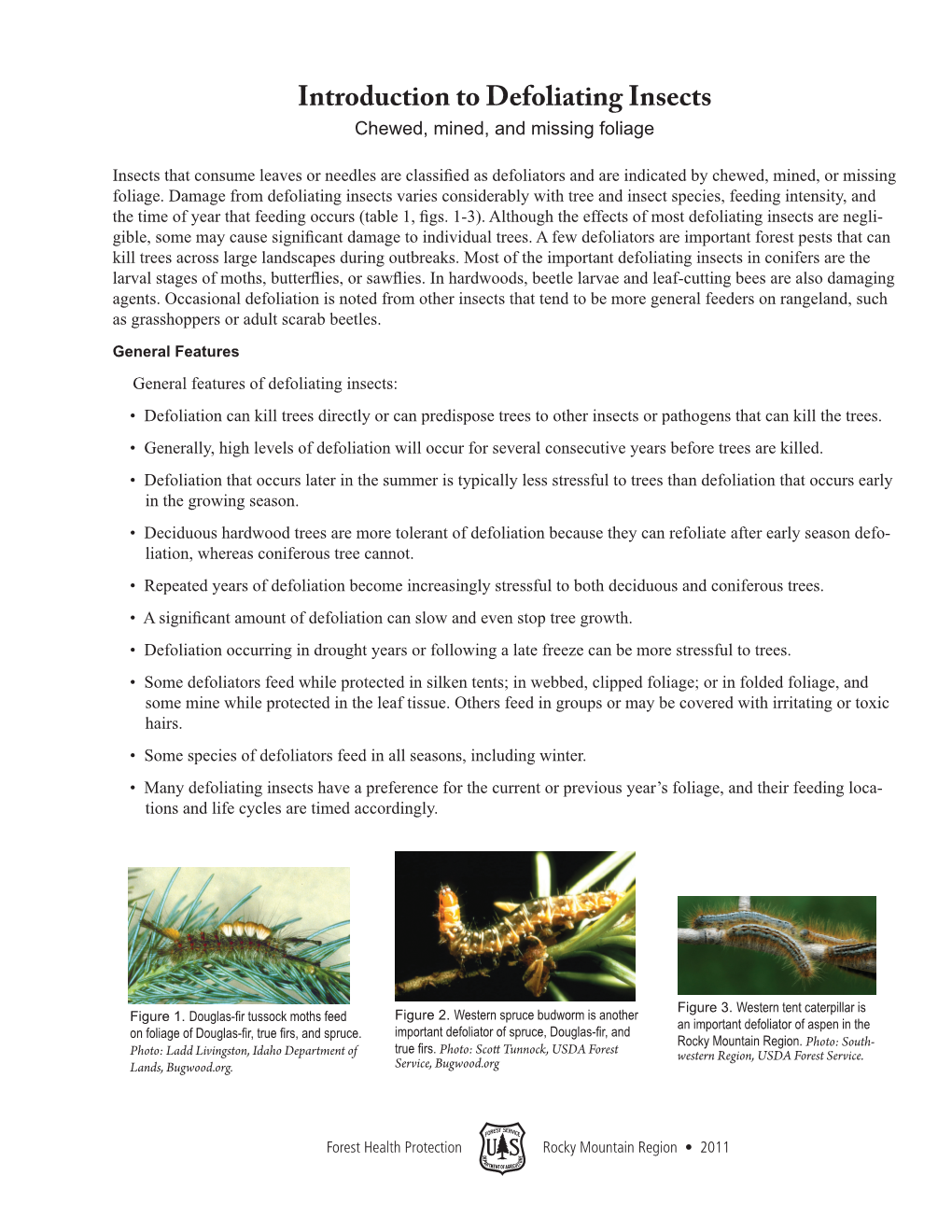Introduction to Defoliating Insects Chewed, Mined, and Missing Foliage