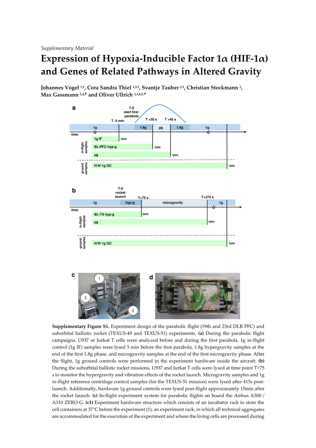 And Genes of Related Pathways in Altered Gravity