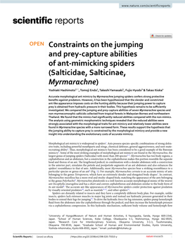 Constraints on the Jumping and Prey-Capture Abilities of Ant