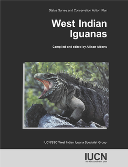 West Indian Iguanas