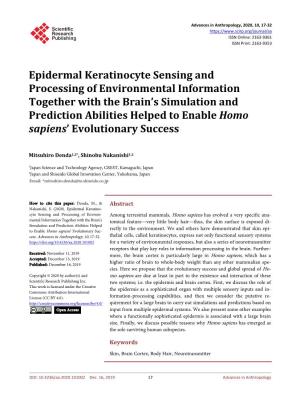 Epidermal Keratinocyte Sensing and Processing of Environmental