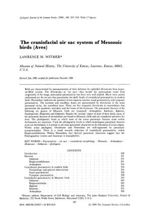 Witmer, L. M. 1990. the Craniofacial Air Sac System of Mesozoic Birds