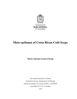 Meio-Epifauna of Costa Rican Cold Seeps