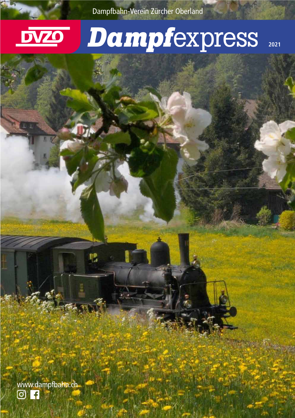 Dampfbahn-Verein Zürcher Oberland