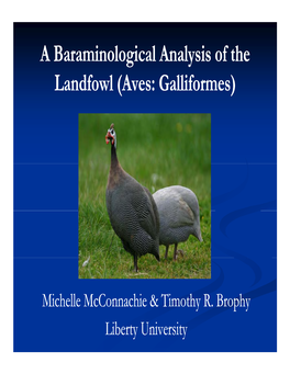 A Baraminological Analysis of the Landfowl (Aves: Galliformes)